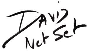 David Not Set Logo