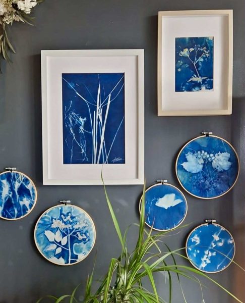 f663b144-cf24-4105-8b9f-1af257417b73 – Agnès Clairand. Cyanotypes naturalistes