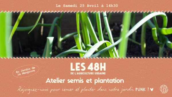 Post-Facebook_AtelierSemis48heures – Julie Bureau